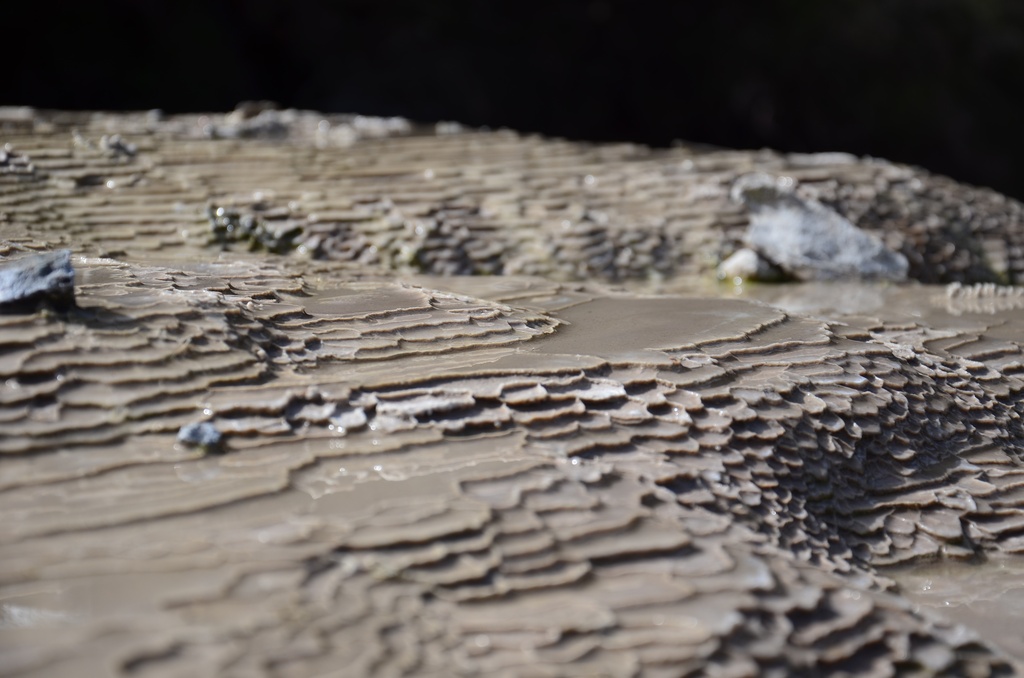 2017-03 New Zealand/Waiotapu/DSC_0363.JPG